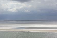 waddenzee.jpg